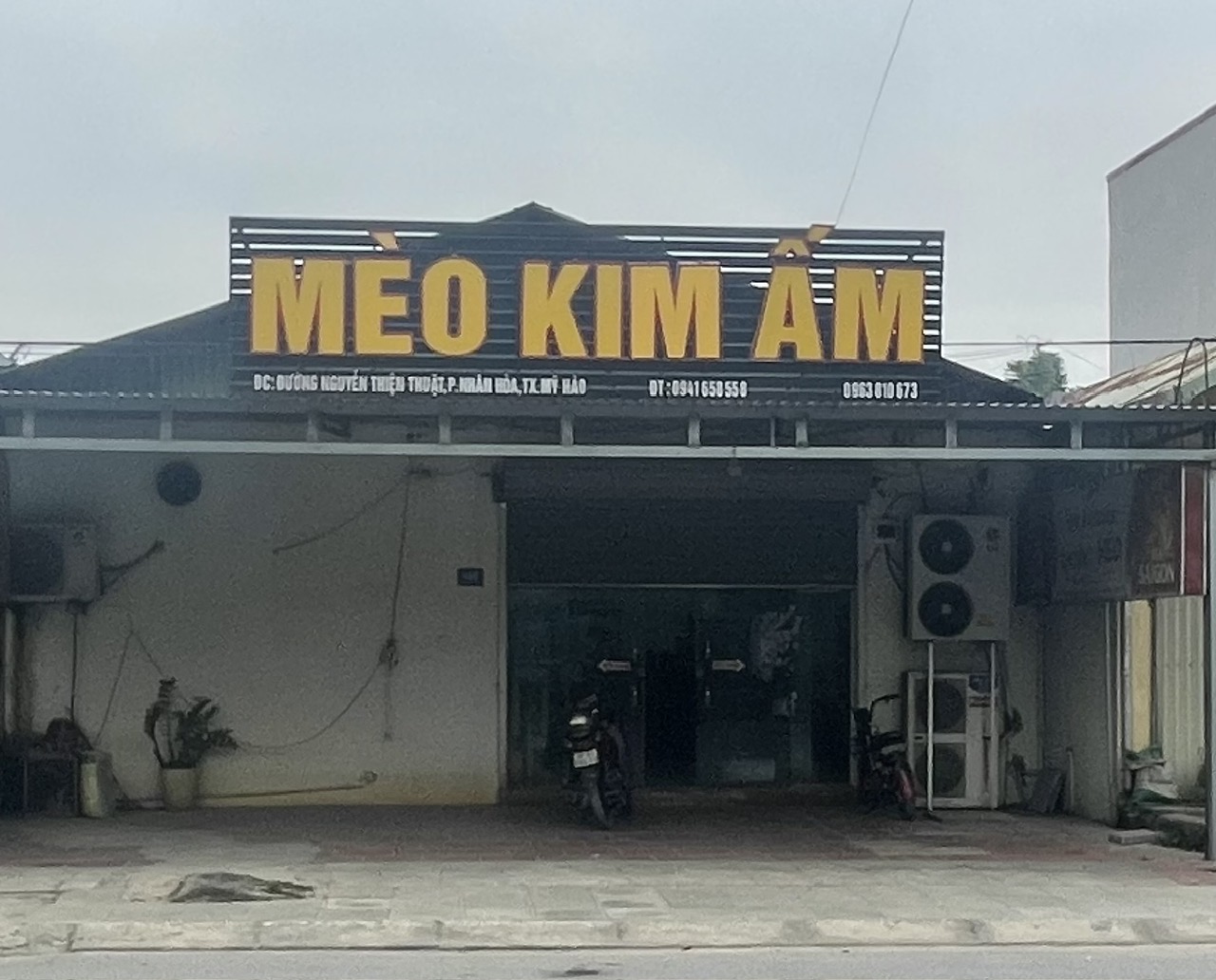 Mèo Kim Ấm